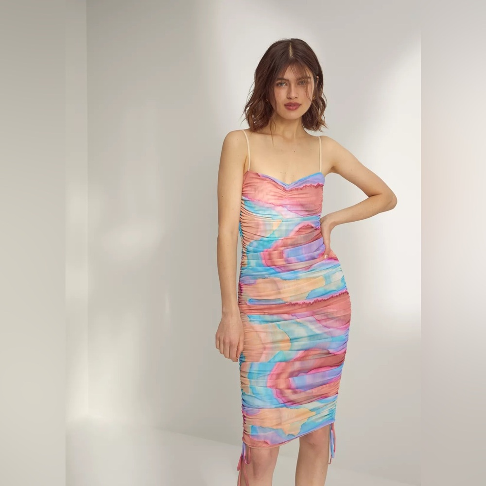 Aritzia Wilfred Rivers Ruched Mesh Dress